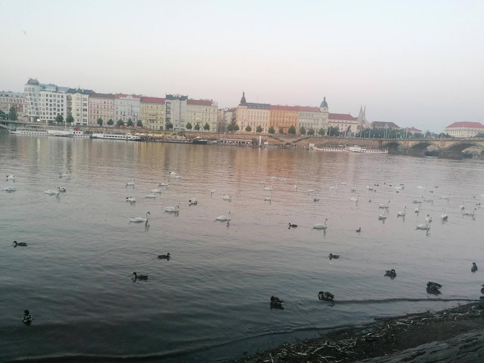 Valentinka Minutes Away From Charles Bridge Apartment Praga Exterior foto