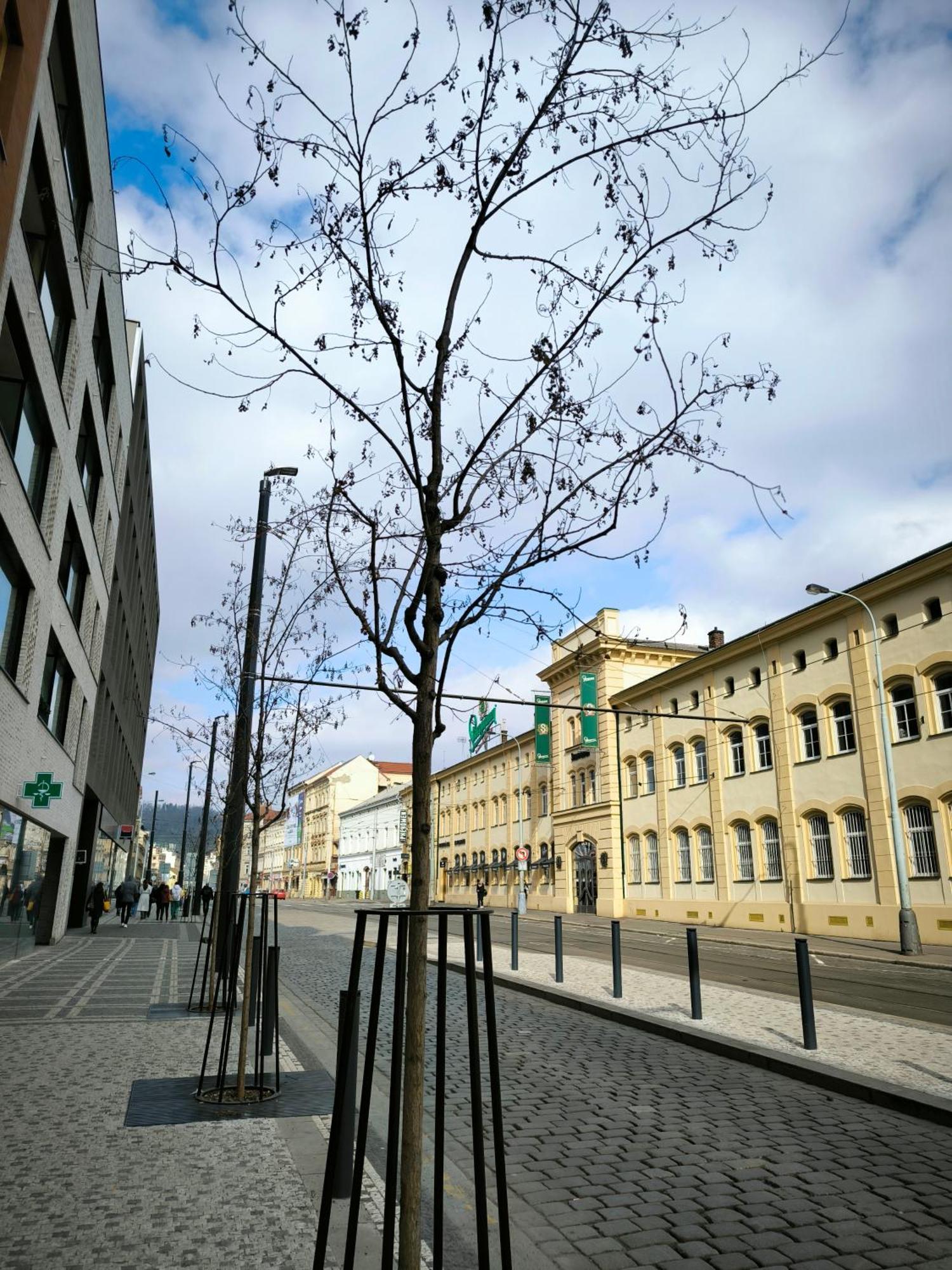 Valentinka Minutes Away From Charles Bridge Apartment Praga Exterior foto